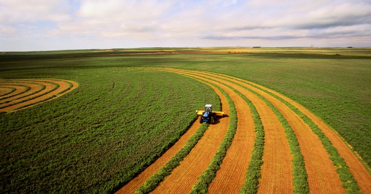 Read more about the article Agronegócio tem superávit de US$ 7,7 bilhões em janeiro deste ano