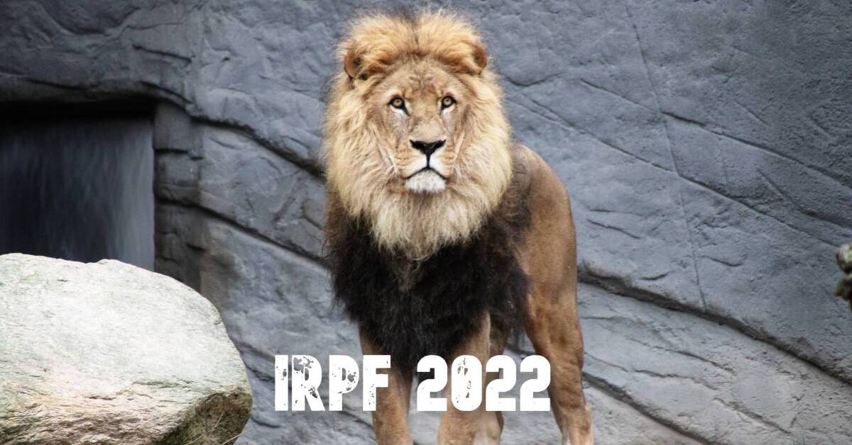 Read more about the article IRPF 2022: saiba como declarar renda de dois empregos