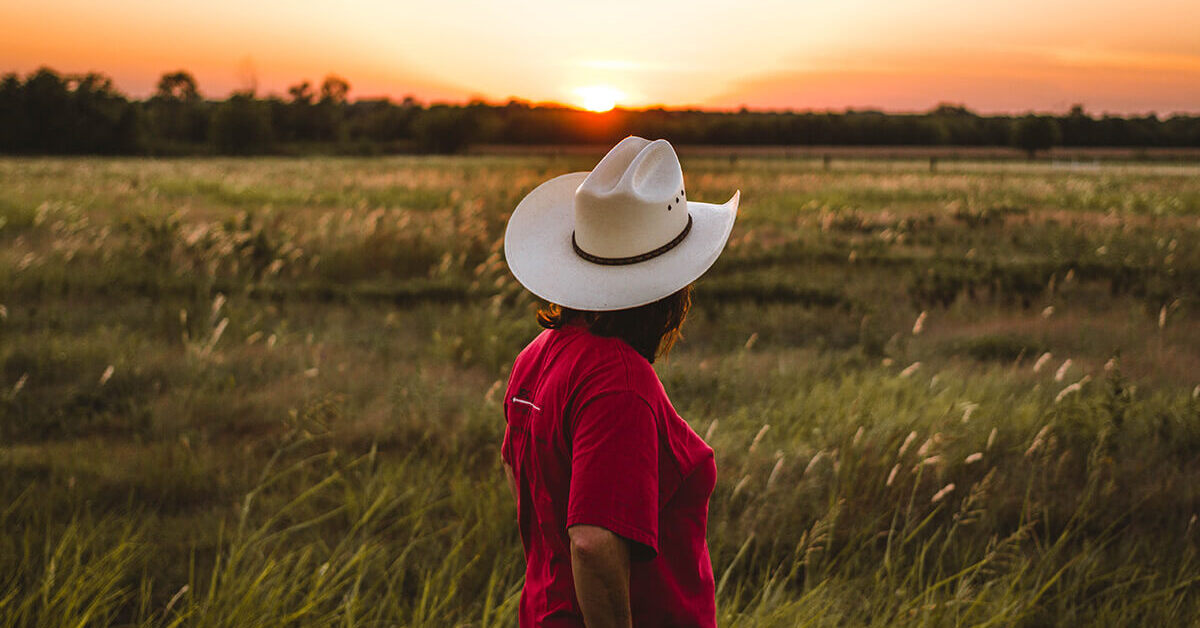 Read more about the article Selo Juntos Pelo Agro vai incentivar o desenvolvimento do empreendedorismo no campo